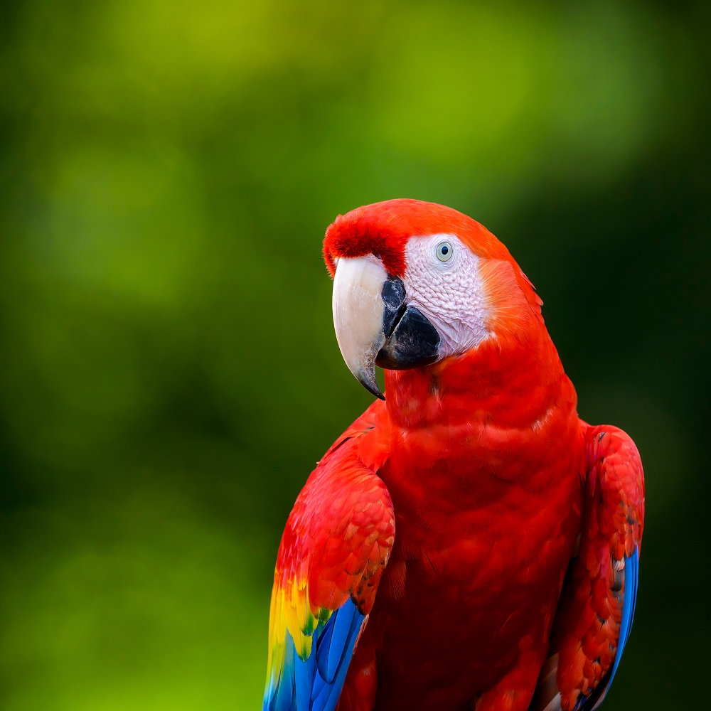Birdworld & Forest Lodge